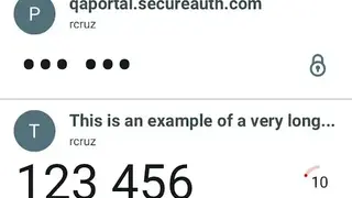 SecureAuth screenshot