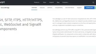 SecureBridge screenshot