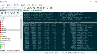 SecureCRT screenshot