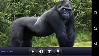 SECuRET ProCam screenshot