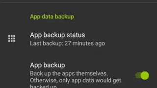 Seedvault Backup screenshot