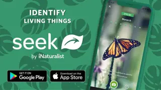 Seek by iNaturalist screenshot