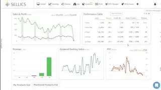 Sellics screenshot