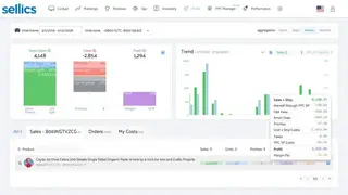 Sellics screenshot