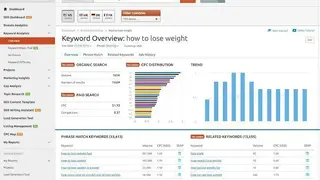 SEMrush screenshot