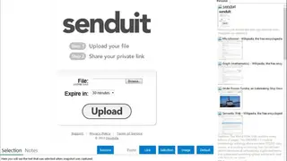 Senduit screenshot