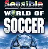 Sensible World of Soccer