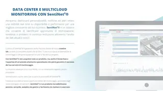 Sentinet3 screenshot