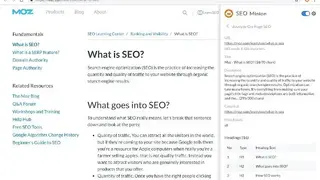 SEO Minion screenshot