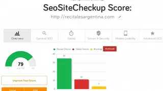 SEO Site Checkup screenshot