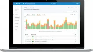 Seolyzer screenshot