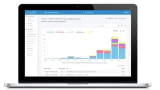 Seolyzer screenshot