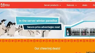 Server4you screenshot