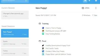 Session Buddy screenshot