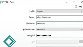 SFTP NetDrive screenshot