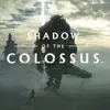 Shadow Of The Colossus