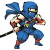 Shattered Ninja