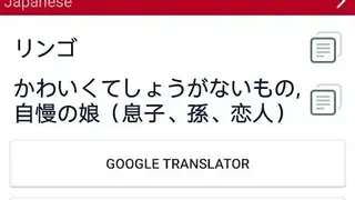 Shwebook Japanese Dictionary (Unicode) screenshot