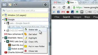 Sidewise Tree Style Tabs screenshot