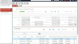 Siebel CRM screenshot