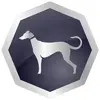 Sighthound