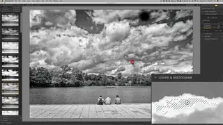 Silver Efex Pro 2 screenshot