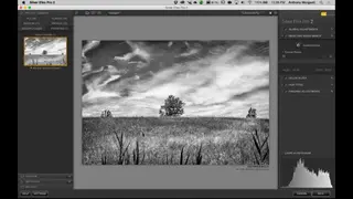 Silver Efex Pro 2 screenshot