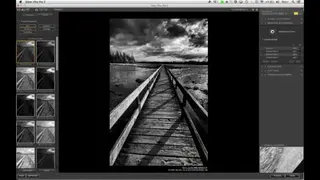 Silver Efex Pro 2 screenshot
