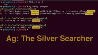 Silver Searcher screenshot