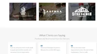 Silverback Strategies screenshot