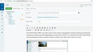 Silverstripe screenshot