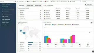 SimilarWeb Pro screenshot