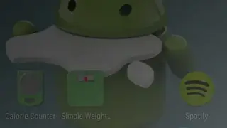 Simple Calorie Counter screenshot