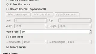 SimpleScreenRecorder screenshot