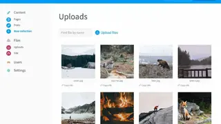 Siteleaf screenshot