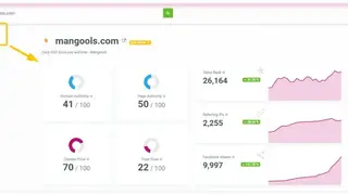 SiteProfiler screenshot