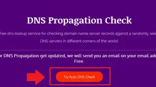 Siteyaar DNS Propagation Checker screenshot