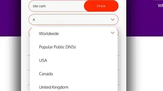 Siteyaar DNS Propagation Checker screenshot