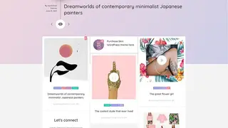 Skin WordPress Theme screenshot