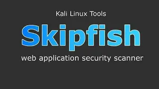 Skipfish screenshot