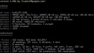 Skipfish screenshot