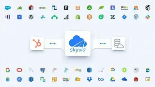 Skyvia screenshot