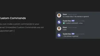 SlayBot screenshot