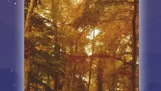 Sleep Sounds Lite – Relaxing sounds for sleeping screenshot