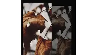 Slidebox screenshot