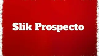 Slik Prospector screenshot