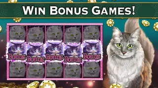 Slots: Epic Jackpot Slots Games Free and Casino Game screenshot