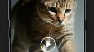 Slow Motion Fast Motion Video screenshot
