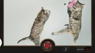 Slow motion video FX screenshot