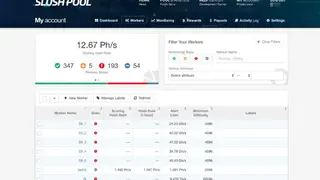 Slush Pool screenshot